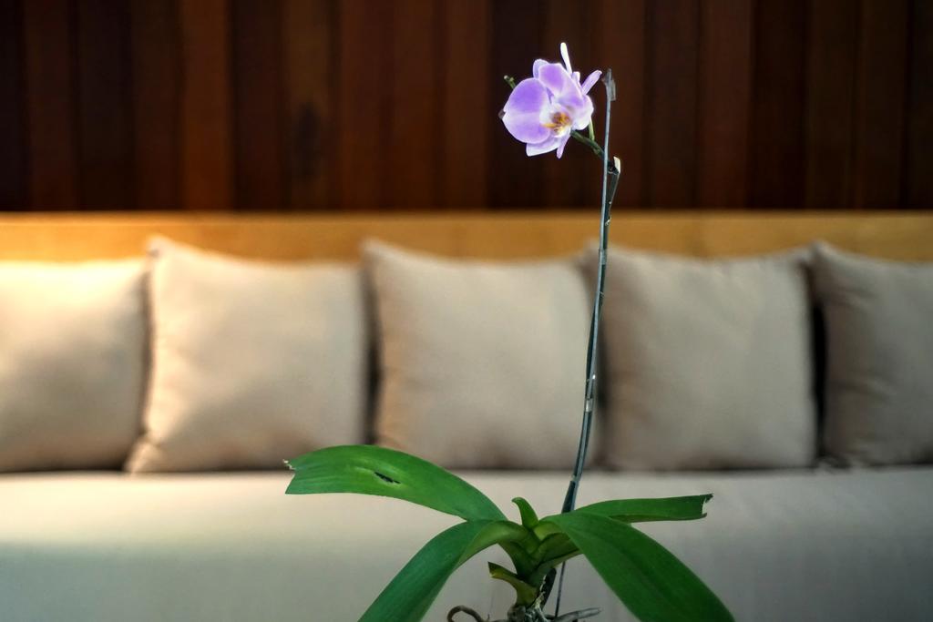 Bale Mandala Villas Senggigi Buitenkant foto